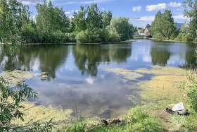 В Кургане в реке Тобол утонул мужчина