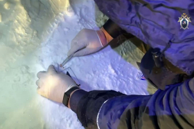 Нападение собак на ребёнка в Курганской области: возбуждено уголовное дело