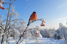 22 января – Филиппов день