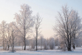 7 февраля — Григорьев день