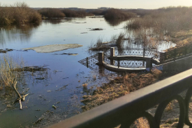 С 9 февраля в Курганской области вводится режим «Повышенной готовности»