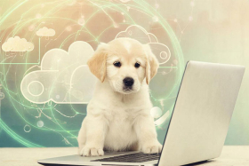 10 февраля – Международный день безопасного Интернета