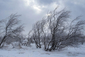 11 февраля – Лаврентьев день: народные традиции и приметы