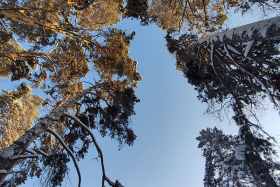 В выходные тепло и без осадков