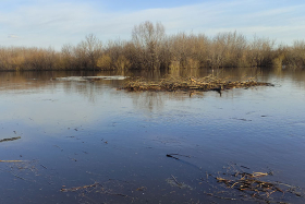 В Курганской области активно готовятся к весеннему паводку