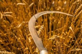 Захариев день (Захар Серповидец): народный праздник 21 февраля