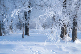 В регионе установится холодная погода