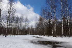 6 марта — Тимофей Весновей: что говорит народный календарь