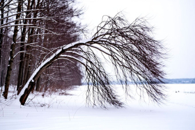 Объявлено штормовое предупреждение: ожидается сильный ветер