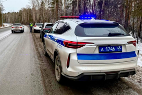 29 пьяных и 28 без прав: Госавтоинспекция подвела итоги масштабных проверок в праздничные дни