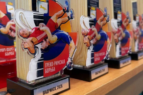 В Шадринске прошел VIII турнир городов Урала по греко-римской борьбе на кубок Александра Серебренникова