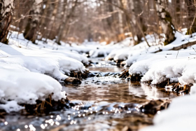 23 марта - день Василисы - вешней воды указательницы: традиции и приметы народного календаря