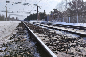 РЖД возместили ущерб за гибель лося на железной дороге по требованию прокуратуры