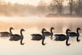 26 марта — Никифоров день: история, традиции и народные приметы