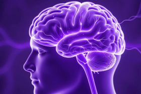 Фиолетовый день: 26 марта — День больных эпилепсией