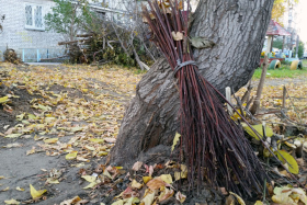 В Шадринске стартует месячник по санитарной очистке и благоустройству