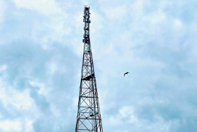 МТС обеспечила LTE-интернетом деревни на юге Курганской области