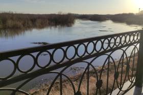 На территории Шадринска в реке Исеть небольшой спад уровня воды