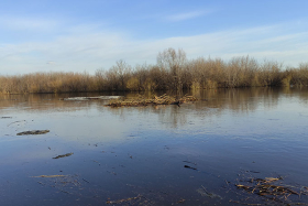 В Шадринске на реке Исеть небольшой спад уровня воды