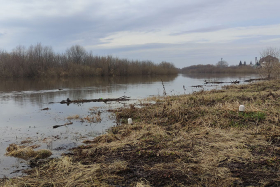 Резкие подъемы и спады: ситуация на водных объектах региона нестабильная