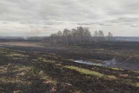 С 10 апреля в Курганской области начался пожароопасный сезон