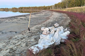 УФСБ пресекает незаконную добычу и контрабанду рачка артемии в Курганской области