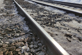 РЖД возместили 80 тысяч рублей за гибель лося на железной дороге