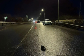 Смертельное ДТП в Кургане: мужчина погиб на пешеходном переходе