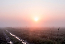 23 апреля — день Терентия Маревного: народные приметы и запреты