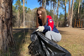 Шадринцев приглашают на субботник в городской бор