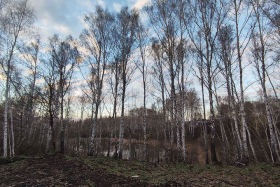 Погода на неделю: Пасмурно и ветрено