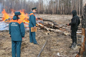 В Курганской области зафиксированы случаи нарушения противопожарного режима